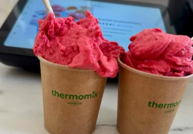 thermomix-sorbet-truskawkowy-9048
