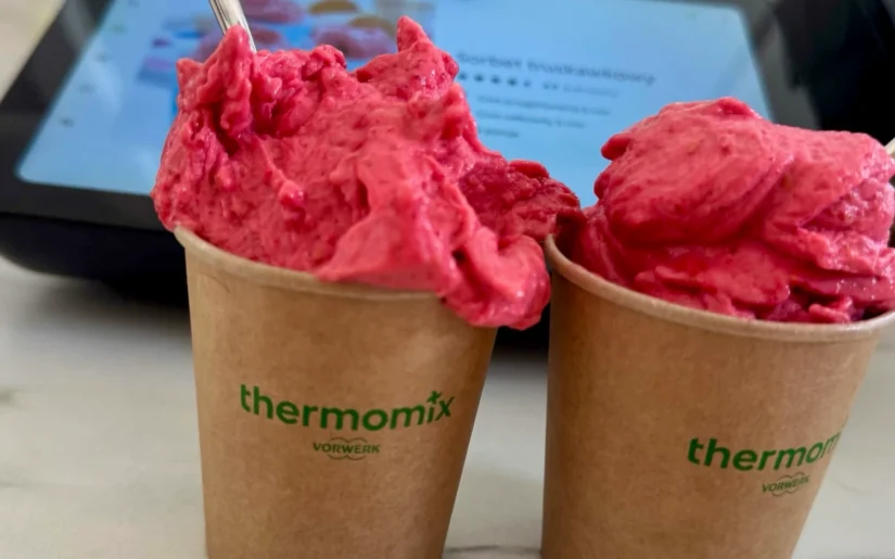 thermomix-sorbet-truskawkowy-9048